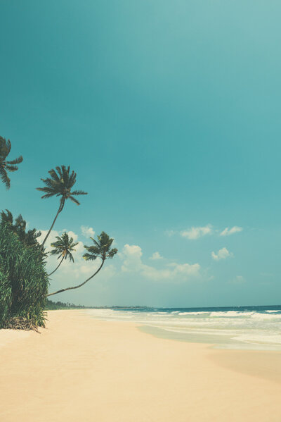 photo d'une plage de sable blanc avec des palmiers et la mer avec des vagues