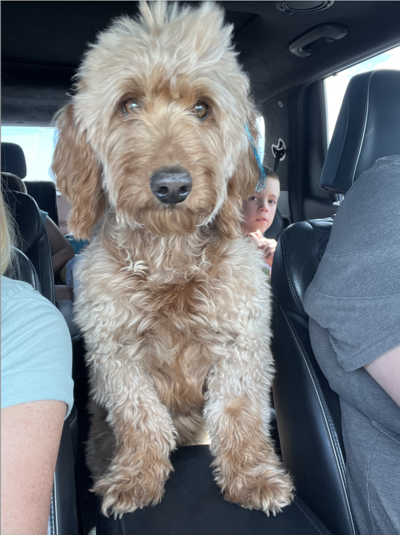 Screenshot 2024-08-27 at 1.40.11 PM