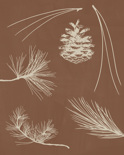 custom florist website