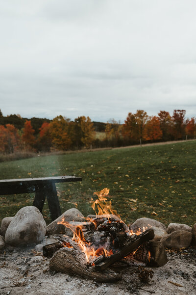 Bonfire with a serene view of mountains and the forest