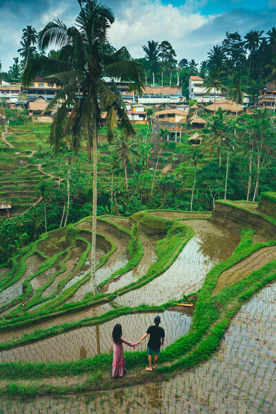 walking in rice fields in Bali