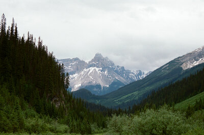 mountians in Yoho National Park with forest in the foreground