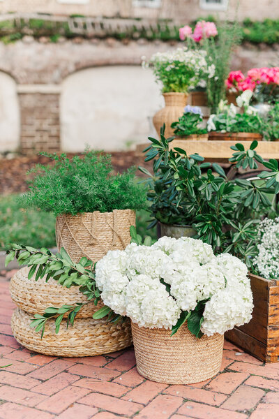 Charleston Proposal Photographer | Charleston Proposal Photographers | Laura and Rachel Photography