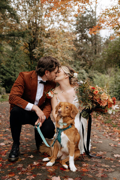 Adventure elopement in BC with dog and wedding couple in forest setting