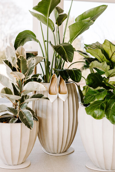bridal shoes displayed