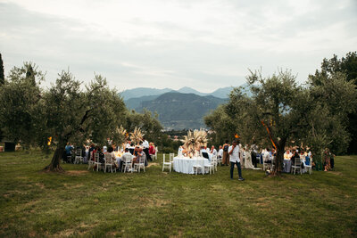 Tables surrounded by olive trees create a picturesque scene during the wedding reception, blending natural beauty with the joyous celebration at this stunning Italian destination