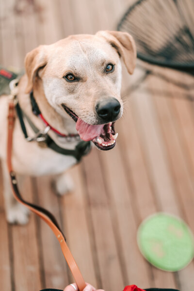Bride gazing at her groom before their reception at Ashford Estate in Allentown New Jersey