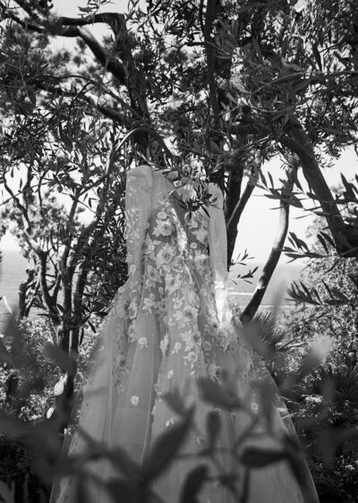 film wedding photo of a bride's dress hanging on a tree