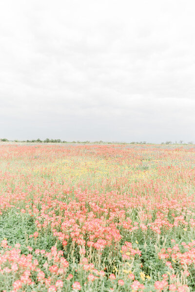 annakayphotography-wildflowerbridals