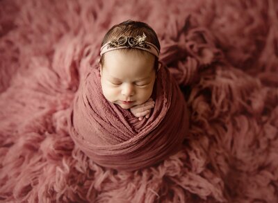 folsom newborn photographer