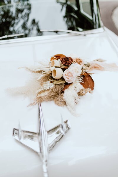 Engagement Session Raleigh Wedding photographer