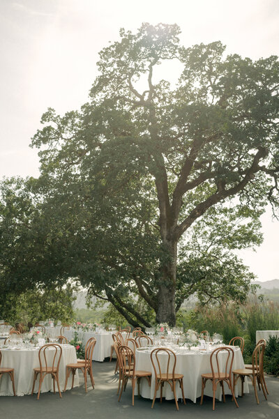 Healdsburg wedding Photographer