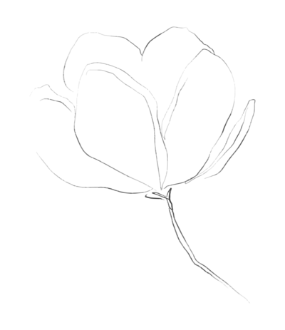 Flower line art