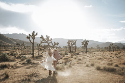 Charleston Phoenix Wedding Elopement Photographer-20-AZ6_1335