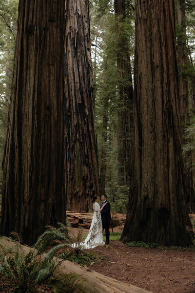 Grand Marais, Minnesota elopement | Brenna Jean Photography
