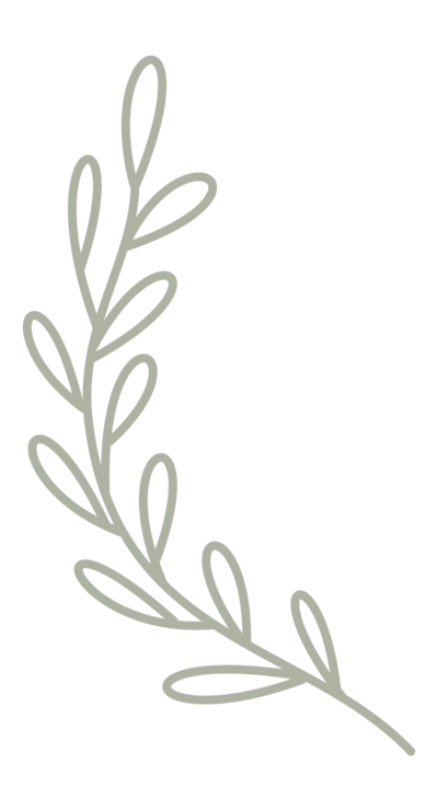 Minimalist grass graphic representing the natural and thoughtful branding of Grassroots Creative Company.