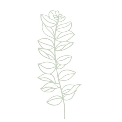 floral illustration