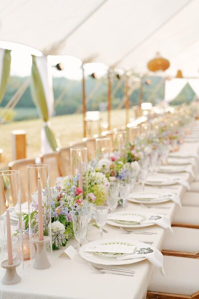 luxury_virginia_wedding_planner_best_virginia_wedding_planner_Richmond-wedding_planner_charlottesville_wedding_planner_eastern_shore_event_designer_charleston_wedding_planner_1438