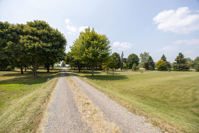 4756 Pollard laneway (2)