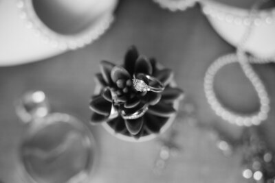 BW_SM_v1