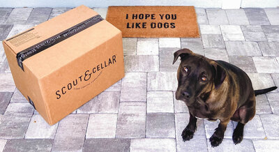 Wine delivery box with a cute puppy greeting you at the door with a doormat stating 'I hope you like dogs'