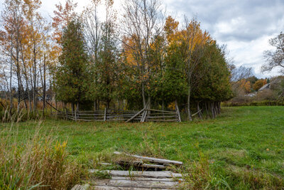 2295 Regional Rd 3 pond