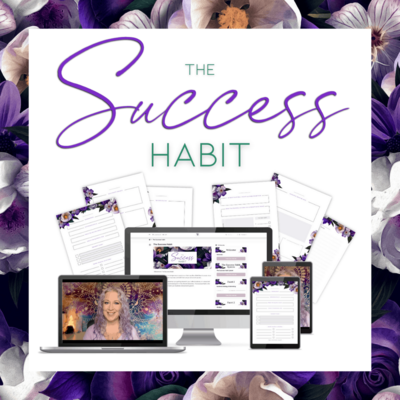 Success Habit Promo (1)