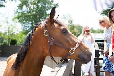 Windwood_Equestrian_Corporate_Events_Alabama_Equine_team_Building_22