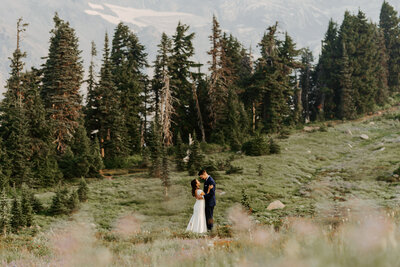 Couple facing each other standing out in an open field in front of tall pine trees