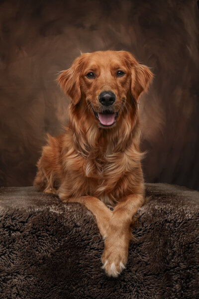 wall art of a woman hugging her black lab
