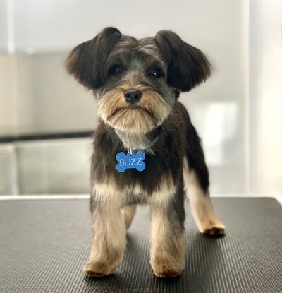 9931D18C-79A9-492D-A32B-44414576E0FF_1_201_a