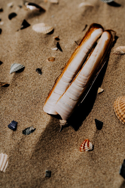 Prints Dijk Ocean Store_89_websize