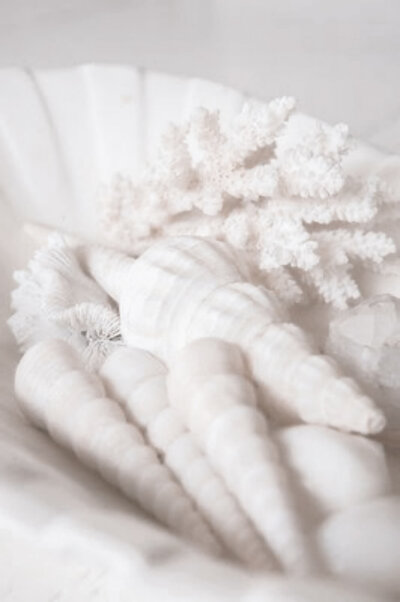 Healing Complex Trauma & Childhood Sexual Abuse