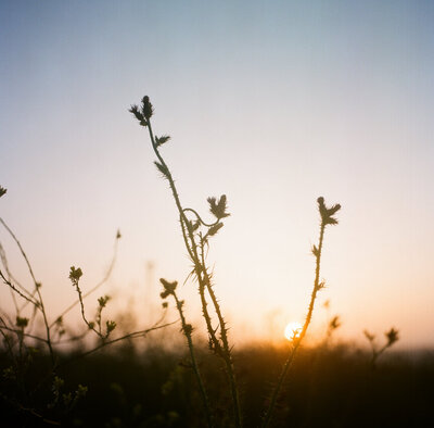 thedejaureguis-napa-wedding-photographers-045