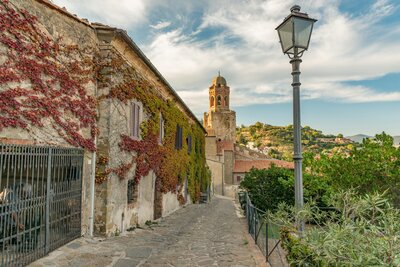 Europe town with ivy on wall