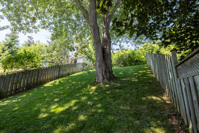81 McCrimmon yard (1)