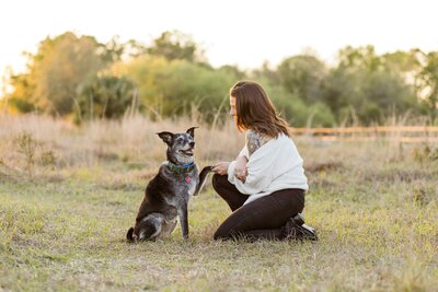 Woman shakes paws with her senior dog in a golden field