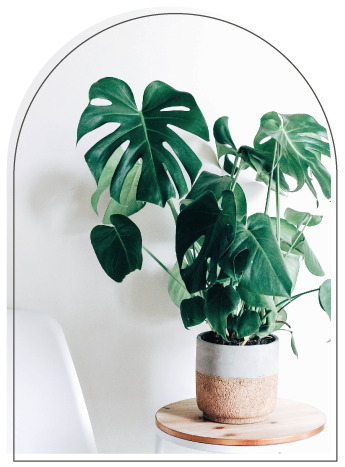 monstera plant in a clay pot, standing on a wooden stool