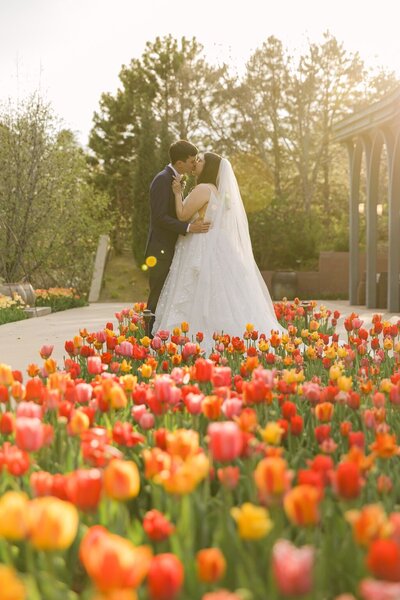 Gorgeous vibrant wedding photo of couple kissing in the blooming tulips at Denver Botanic Gardens 