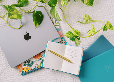 A stack of books next to a plant.