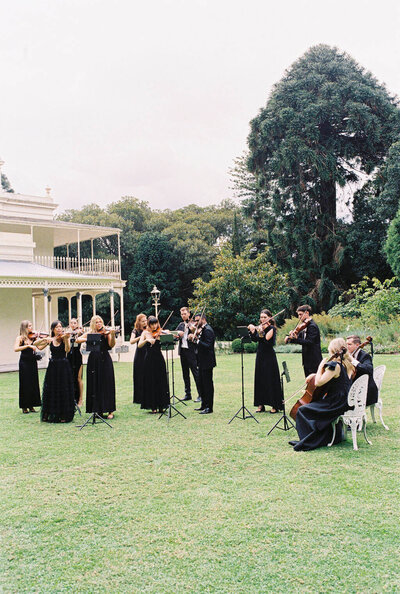 Luxury Wedding Orchestra