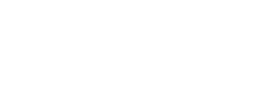 A logo with two leaf shapes on the left and the text "DESIGN PARTNER" on the right in a black and white color scheme, perfect for a web designer for small businesses.