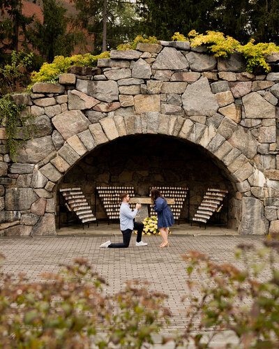 A surprise proposal where they first met at Siena College in Loudonville, New York.