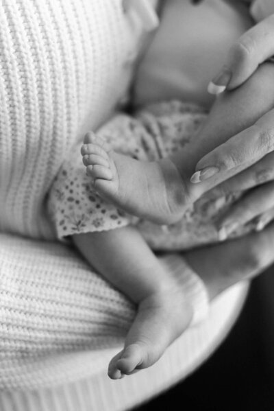 baby toes By Carrie Pellerin