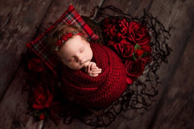 Newborn baby girl wrapped in red, posed in a heart-shaped basket surrounded by roses during a mobile in-home session in Vancouver.