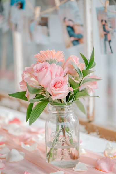 Pink roses at Post Family Farm with Kelly Jo Photography