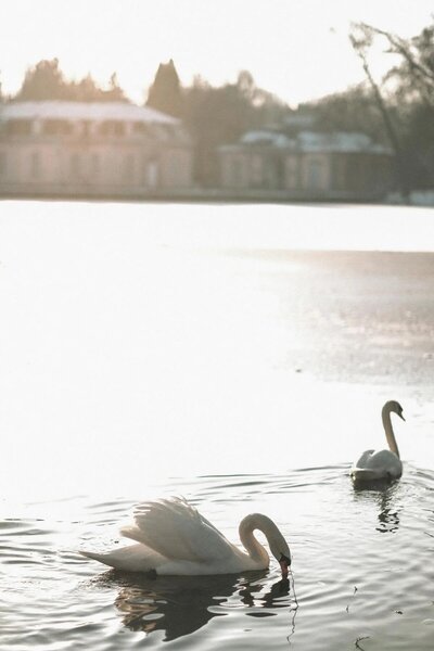 pexels-photo-19963658