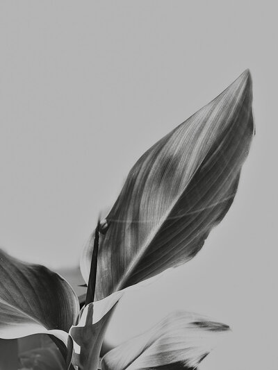 pexels-aparna-7400828