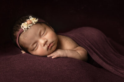 twin newborns photograph taken at Brielle pausma photography studios