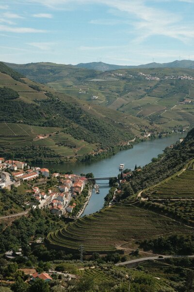 ineyards along the Douro River Valley, Portugal